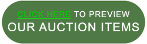 Click Here to Preview Our Auction Items