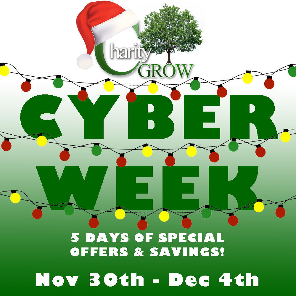 Cyber Week 2020